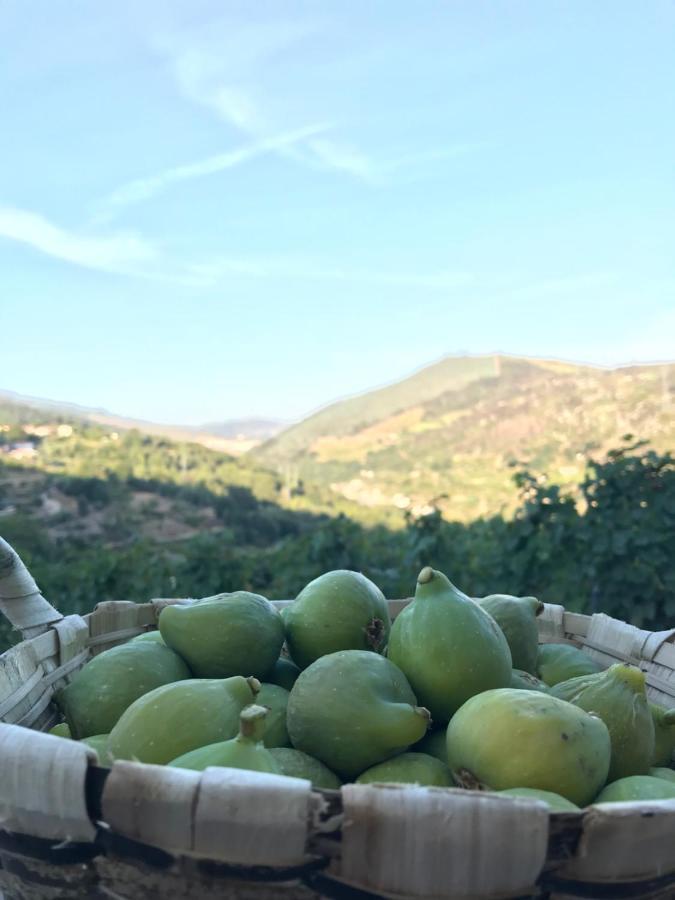 מסאו פריו Private Douro- Quinta Das Susandas מראה חיצוני תמונה