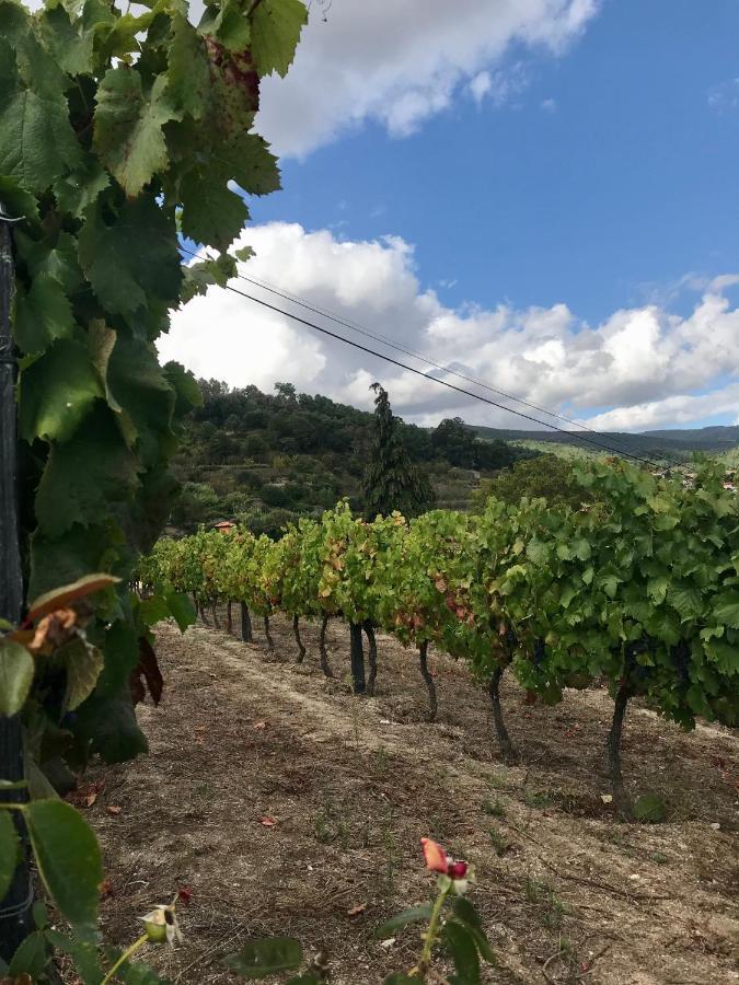 מסאו פריו Private Douro- Quinta Das Susandas מראה חיצוני תמונה
